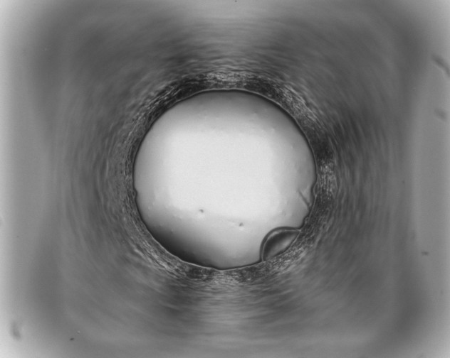 X0000098101009200804181419
