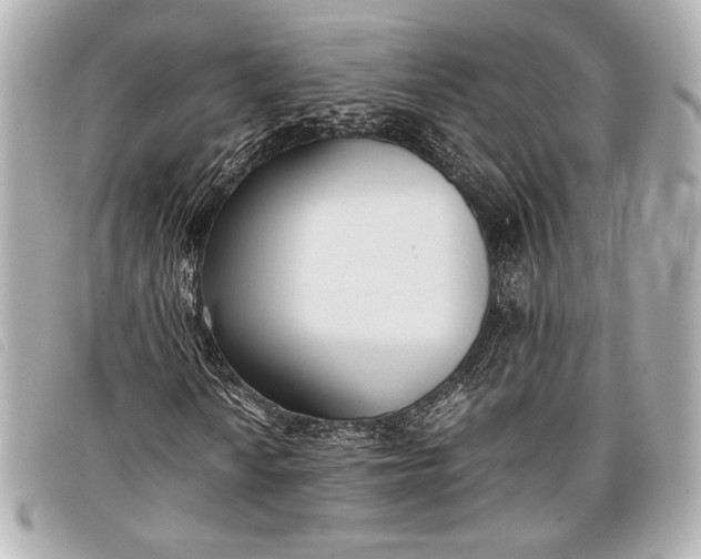 X0000098101010200804181419