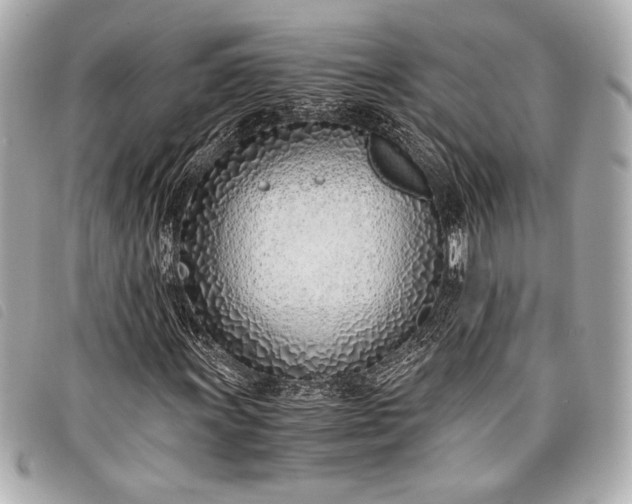 X0000098101011200804181419