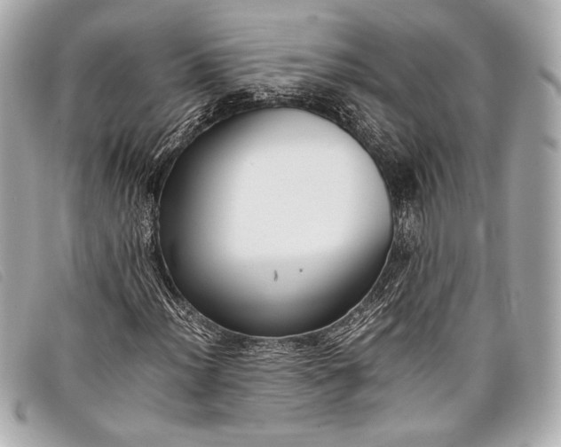 X0000098101012200804181419