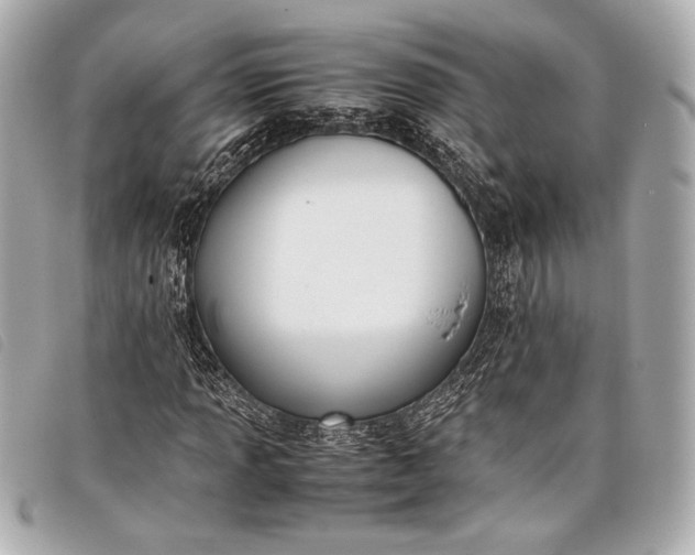 X0000098101013200804181419