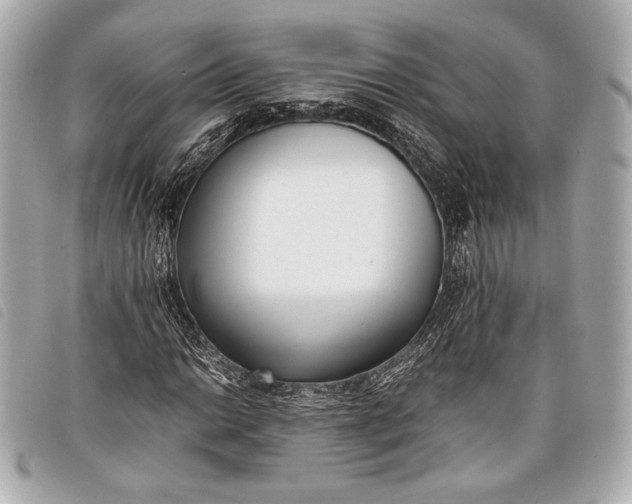 X0000098101014200804181419