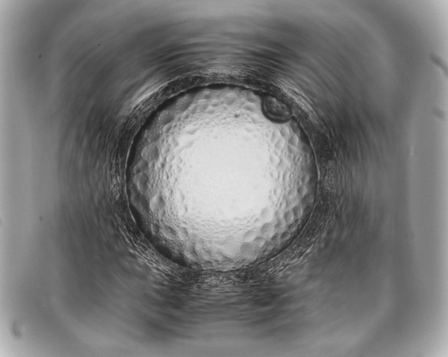 X0000098101015200804181419
