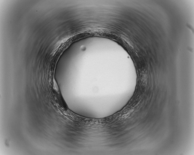 X0000098101016200804181419