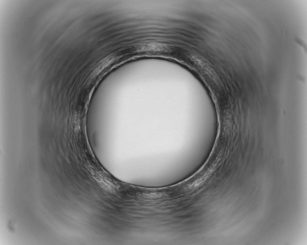 X0000098101017200804181419