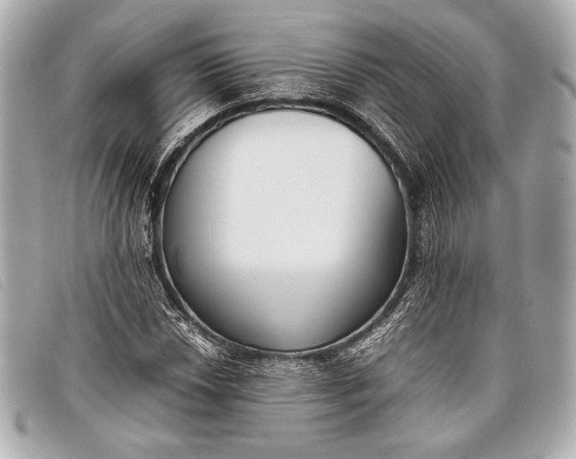 X0000098101018200804181419