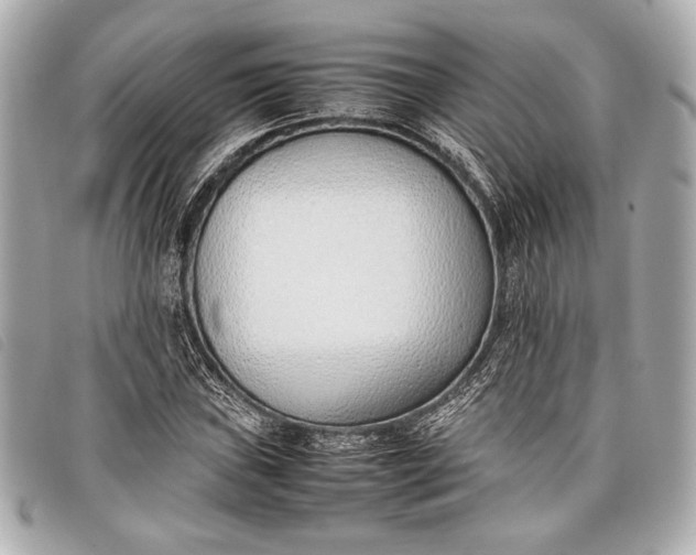 X0000098101019200804181419