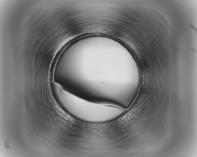 X0000098101020200804181419