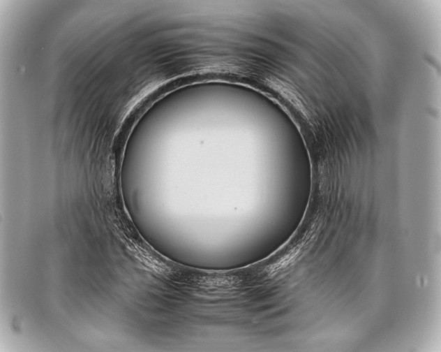 X0000098101021200804181419
