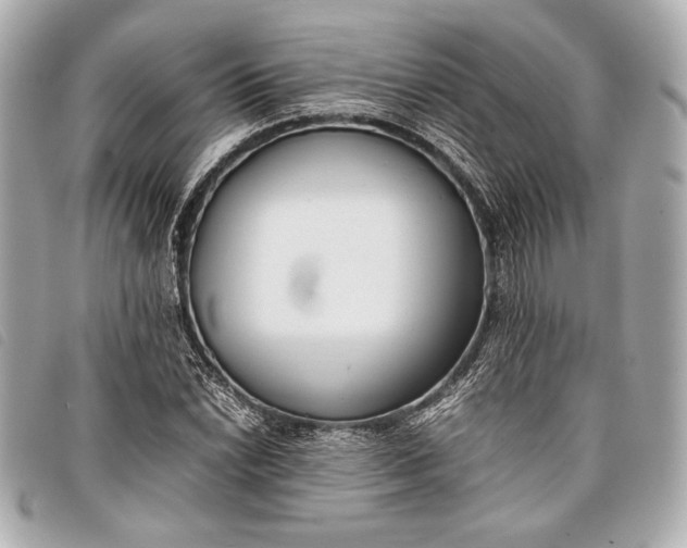 X0000098101022200804181419