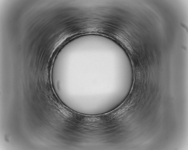 X0000098101023200804181419