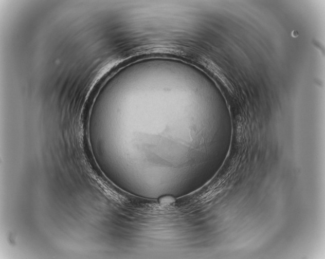 X0000098101024200804181419