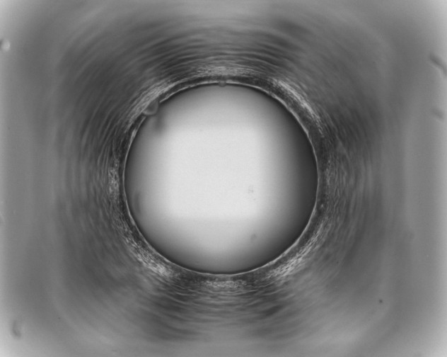 X0000098101025200804181419