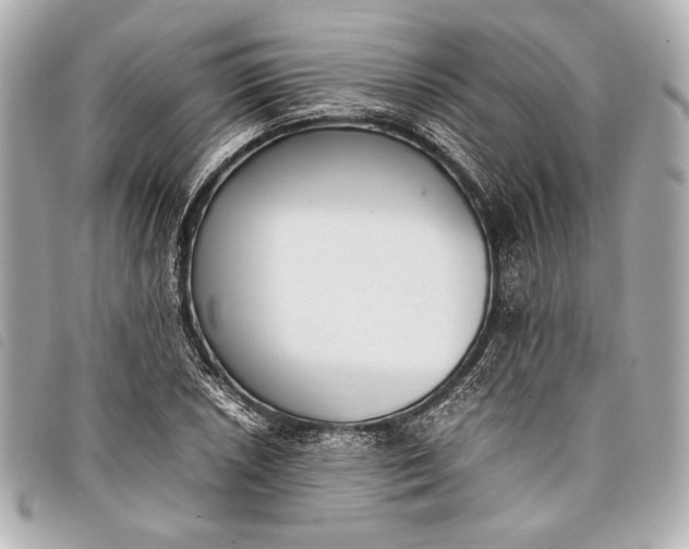X0000098101026200804181419