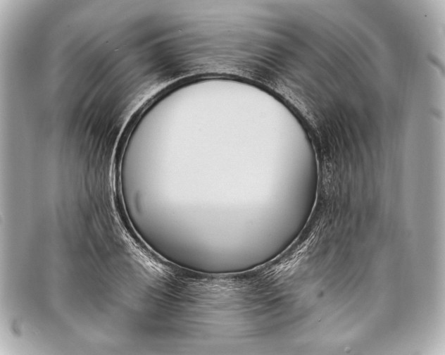 X0000098101028200804181419