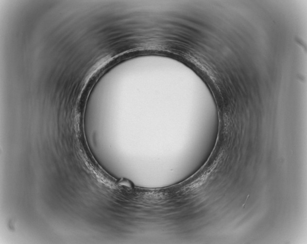 X0000098101029200804181419