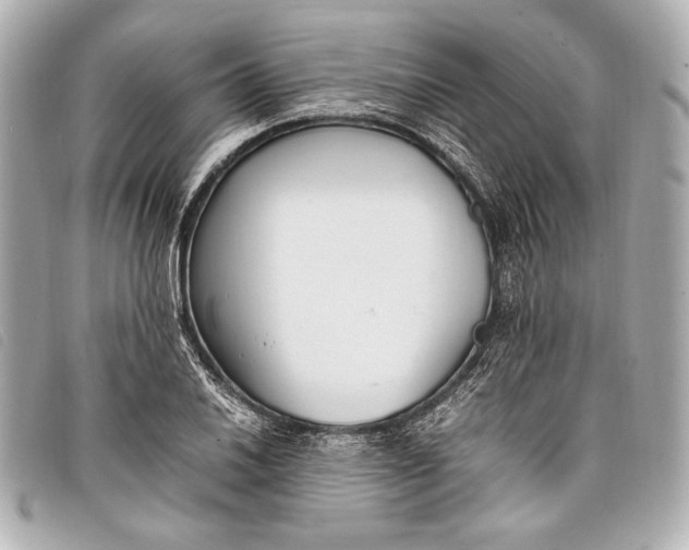 X0000098101030200804181419