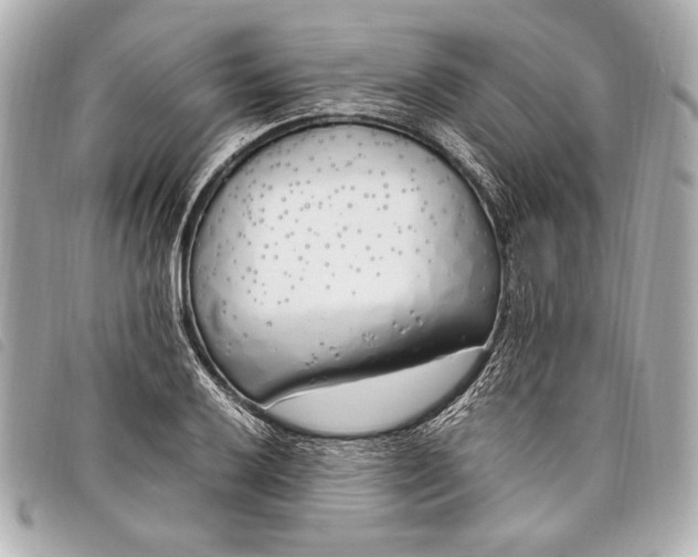 X0000098101032200804181419