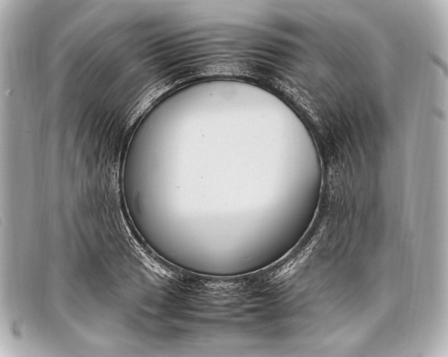 X0000098101033200804181419