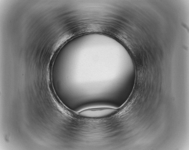 X0000098101034200804181419