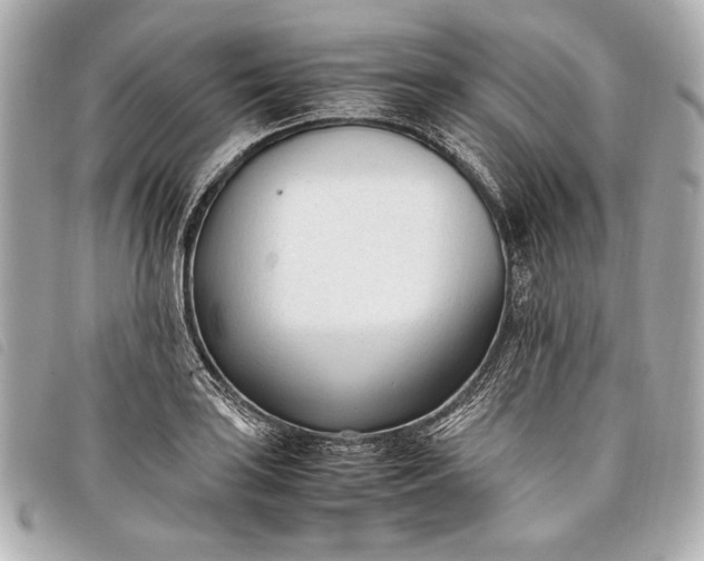 X0000098101035200804181419