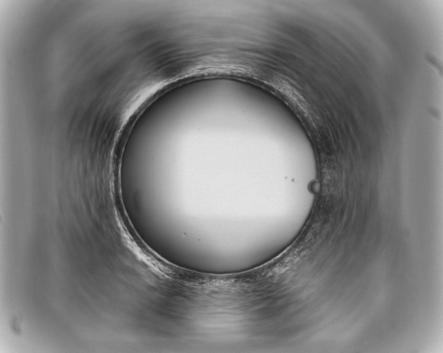 X0000098101038200804181419