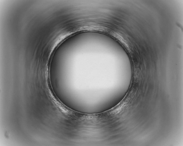 X0000098101040200804181419