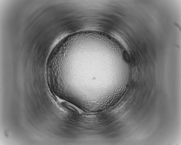 X0000098101043200804181419