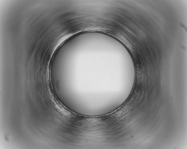 X0000098101044200804181419