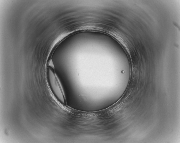 X0000098101045200804181419
