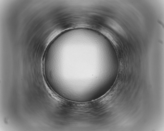 X0000098101047200804181419