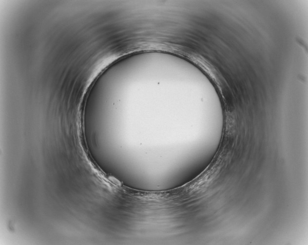 X0000098101048200804181419