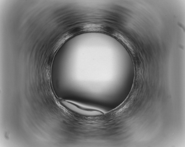 X0000098101049200804181419
