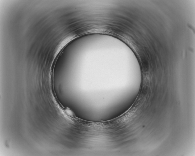 X0000098101050200804181419