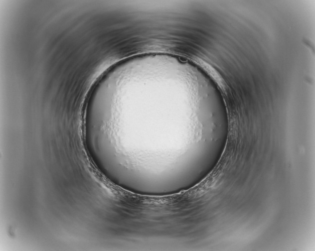 X0000098101051200804181419