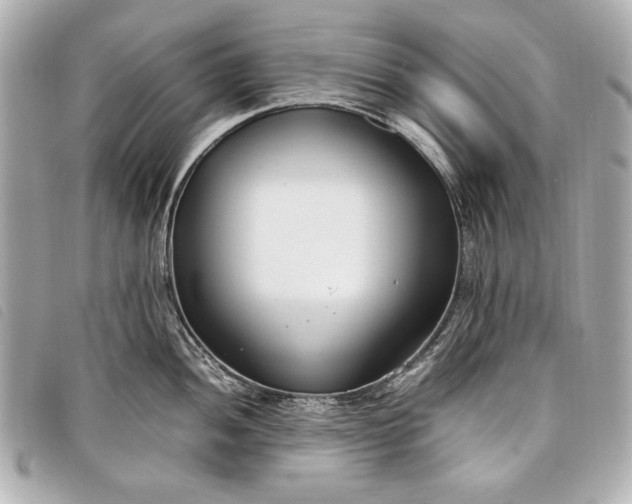 X0000098101052200804181419