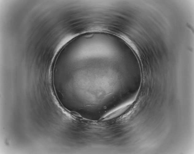 X0000098101053200804181419