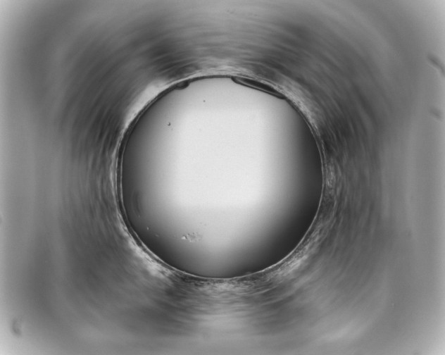 X0000098101054200804181419