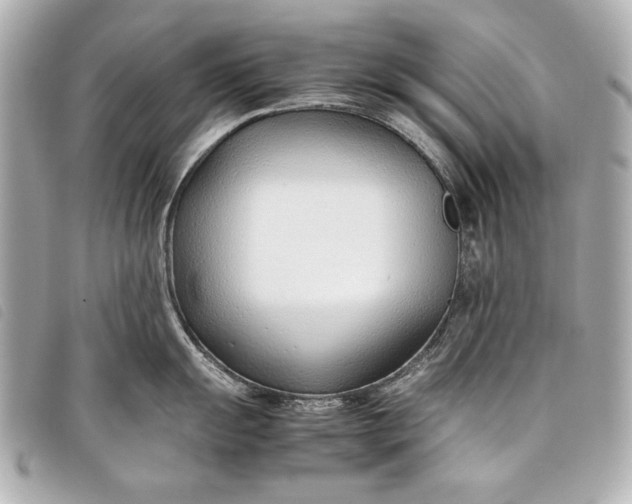 X0000098101055200804181419