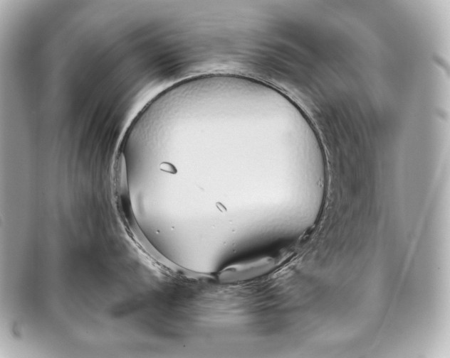 X0000098101056200804181419