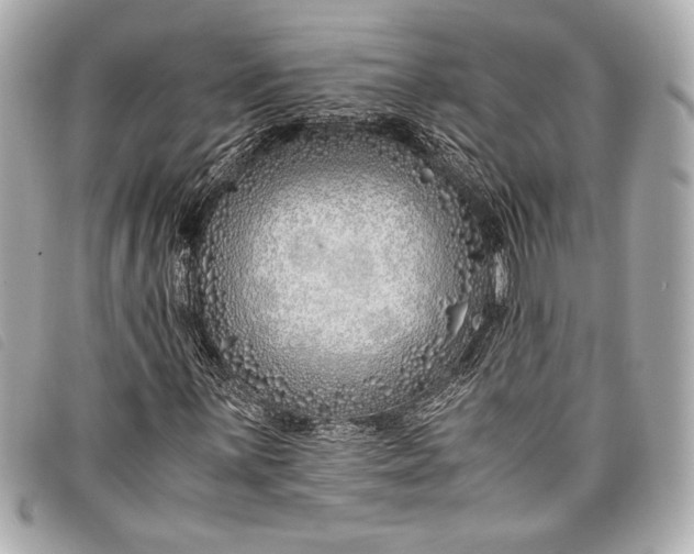 X0000098101059200804181419