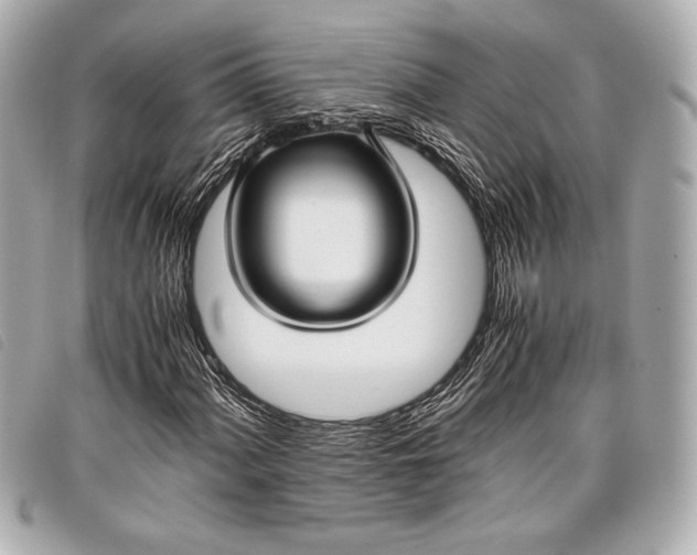 X0000098101060200804181419