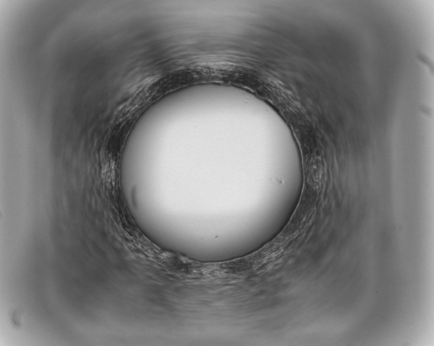 X0000098101061200804181419