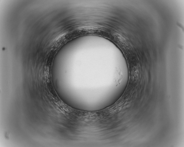 X0000098101062200804181418