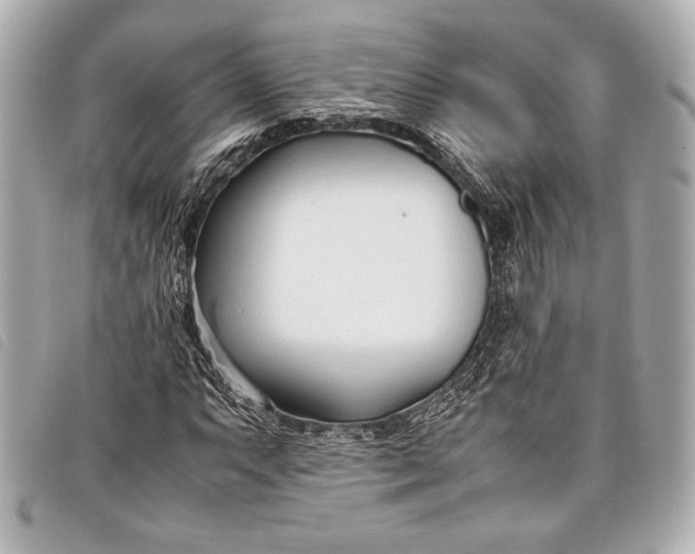 X0000098101063200804181418