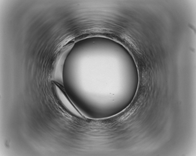 X0000098101065200804181418