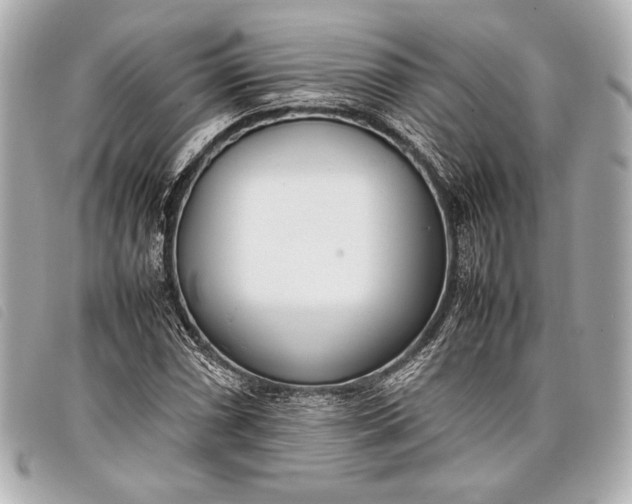 X0000098101066200804181418