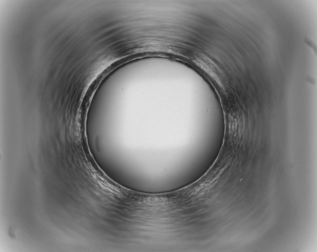 X0000098101068200804181418