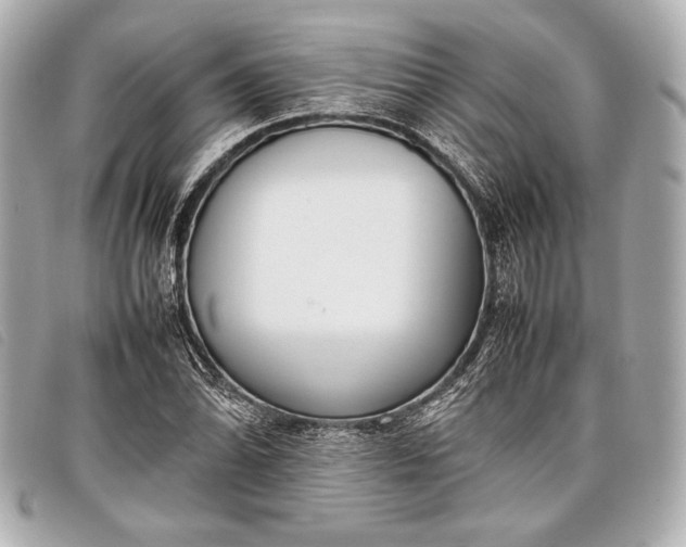 X0000098101070200804181418