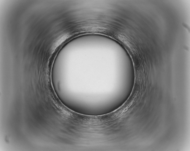 X0000098101071200804181418